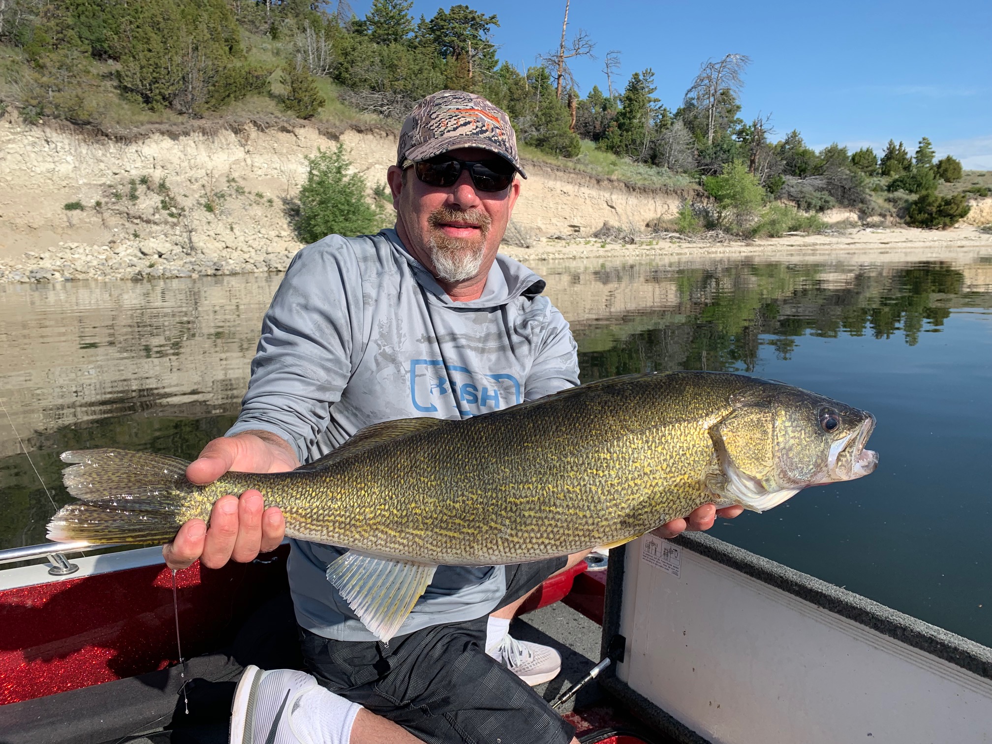 32" Walleye caught by Chris Joyce on Canyon Ferry