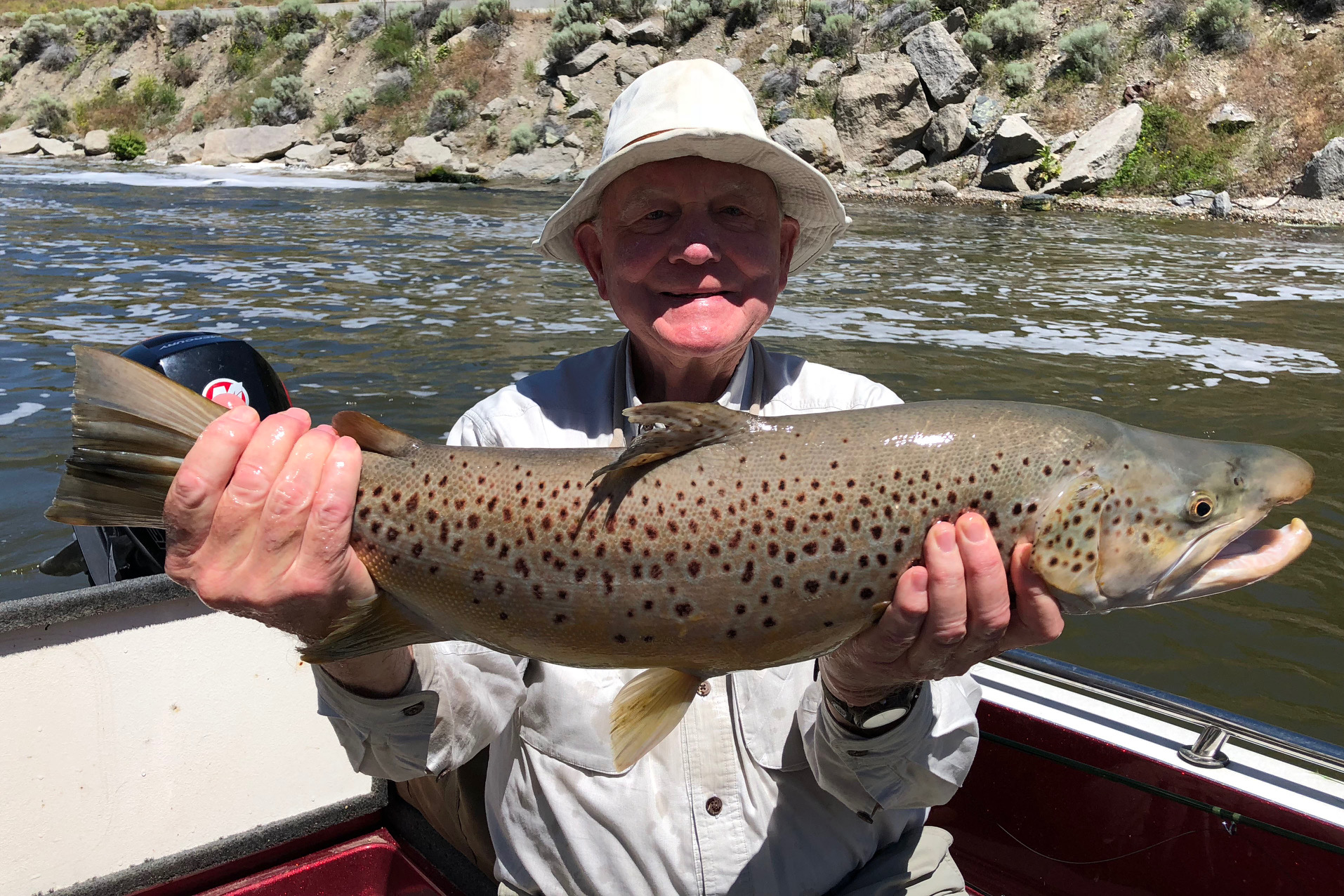 31" Brown Trout caught by Steve Pauley